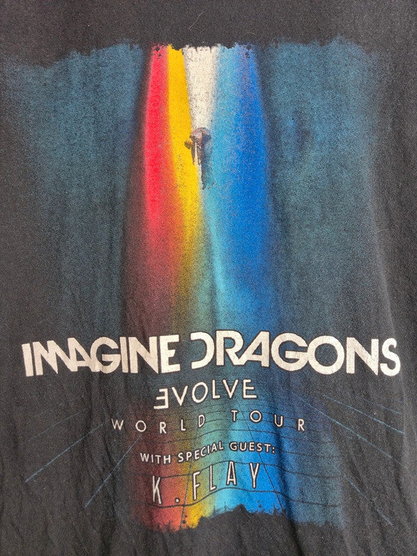 T-shirt Imagine Dragons Evolve World Tour Noir Gildan Taille M Concert Rock