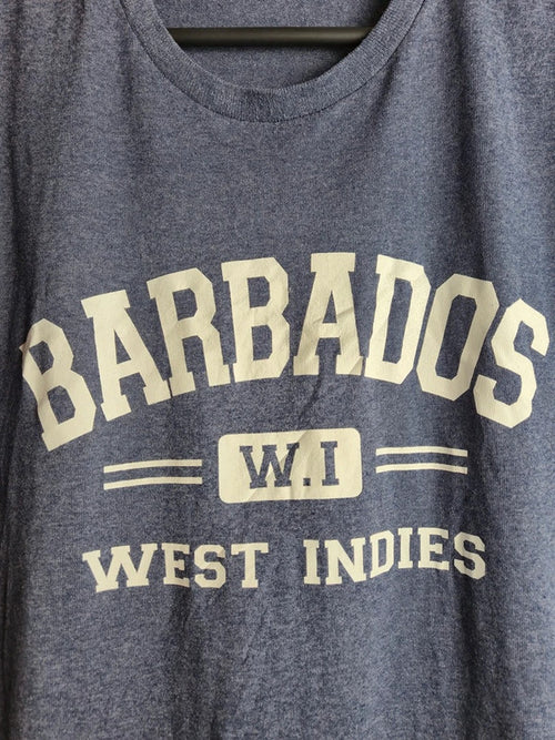T-shirt Delta Barbados West Indies Gris Taille L Style Vintage
