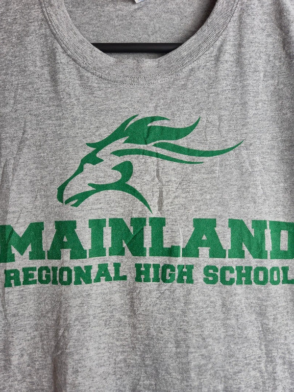 T-shirt Jerzees Gris Mainland High School Style Sport Vintage Taille L