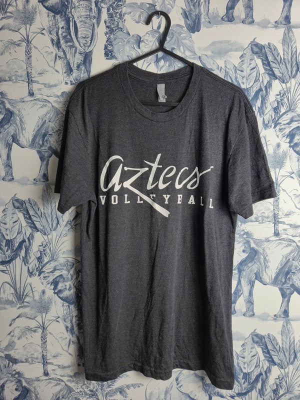 T-shirt Gris Next Level Apparel Aztecs Volleyball Sport Taille S