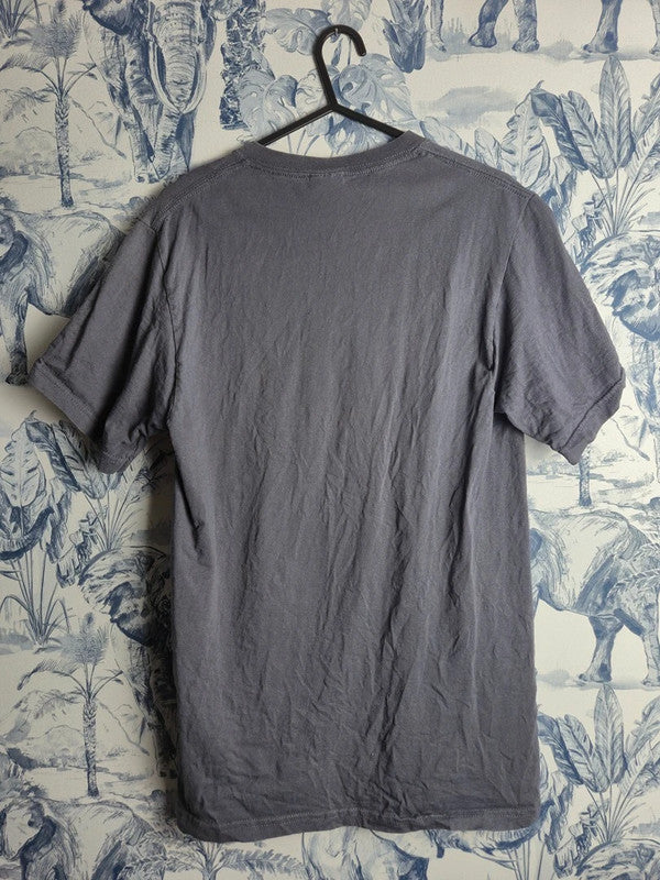 T-shirt Fruit of the Loom gris Fbu Football University vintage sport S mixte